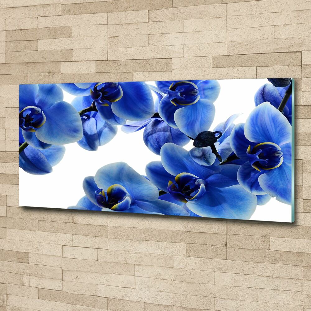 Tableau verre acrylique Orchidée bleue