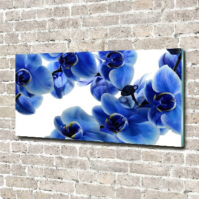 Tableau verre acrylique Orchidée bleue