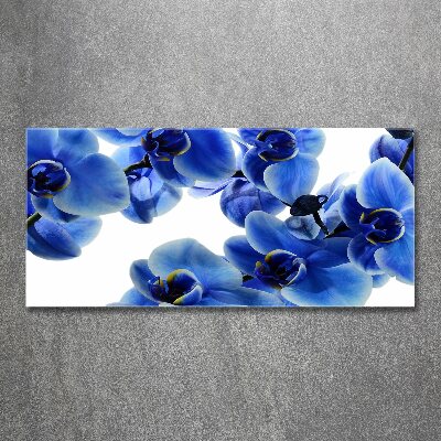 Tableau verre acrylique Orchidée bleue