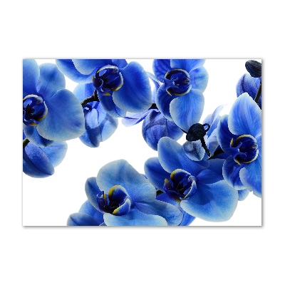 Tableau verre acrylique Orchidée bleue