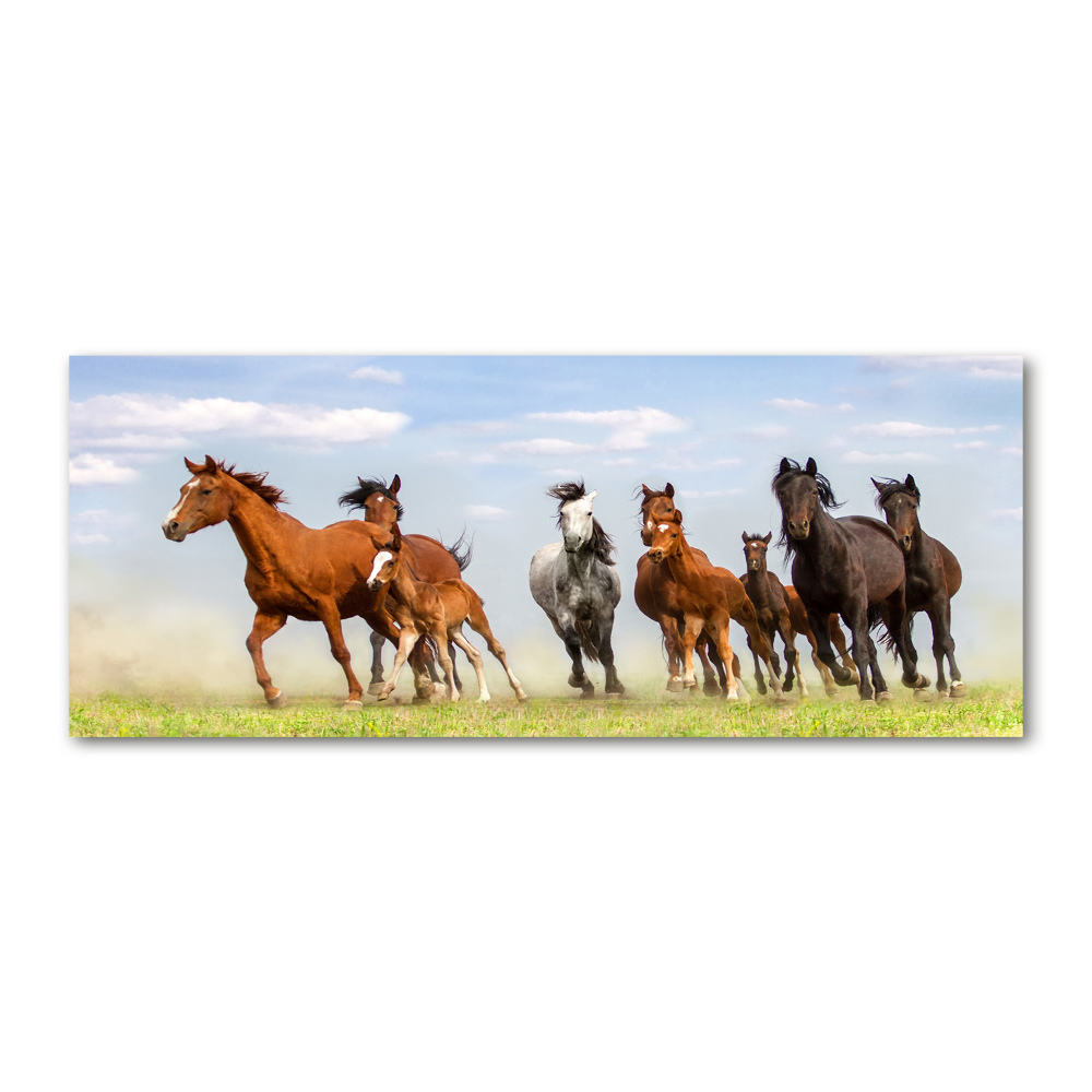 Tableau verre acrylique Chevaux au galop