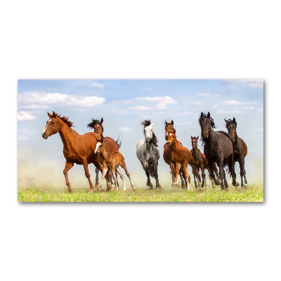 Tableau verre acrylique Chevaux au galop