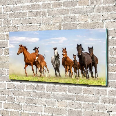 Tableau verre acrylique Chevaux au galop