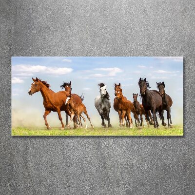 Tableau verre acrylique Chevaux au galop