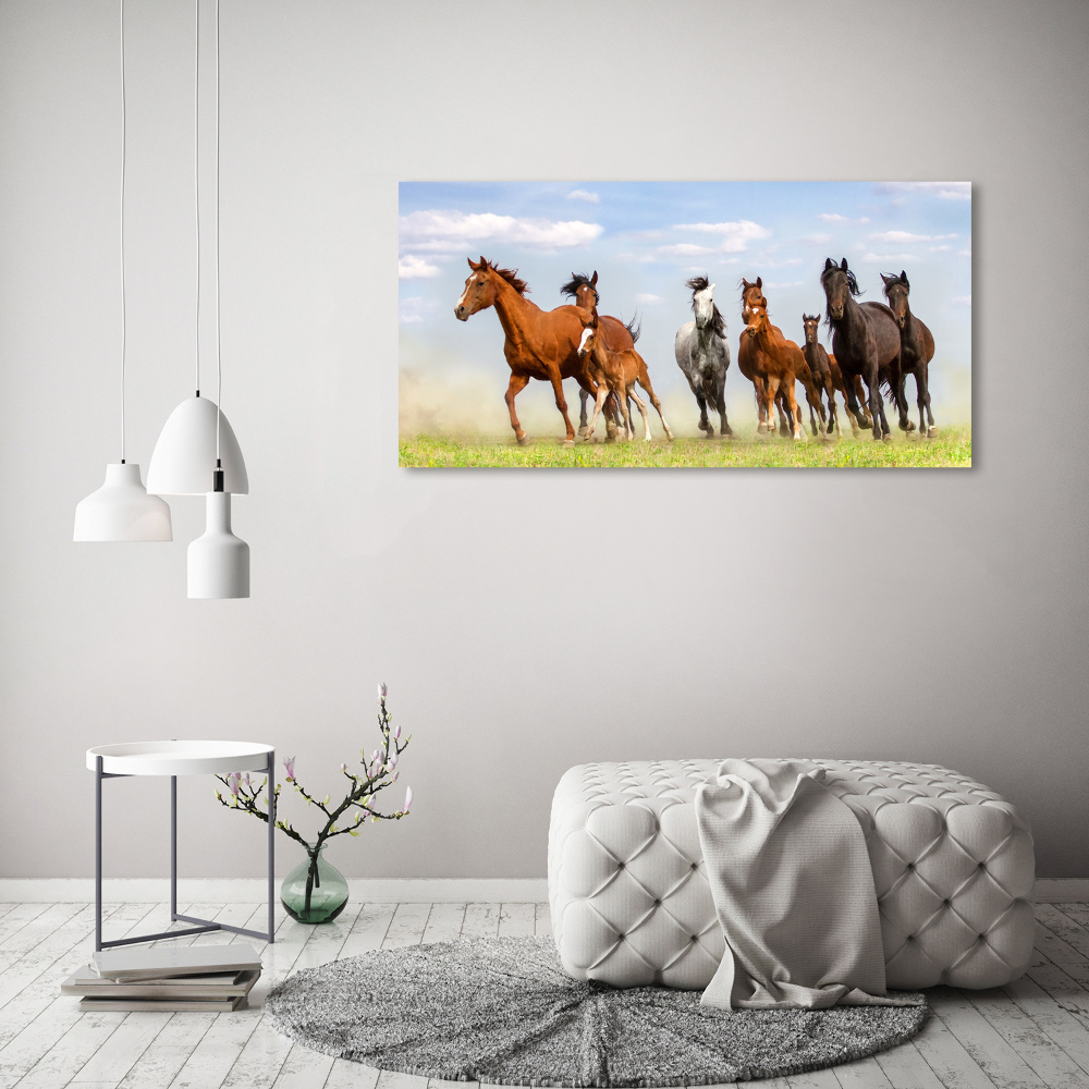 Tableau verre acrylique Chevaux au galop