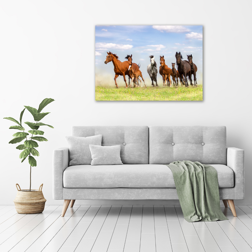 Tableau verre acrylique Chevaux au galop