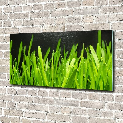 Tableau verre acrylique Herbe