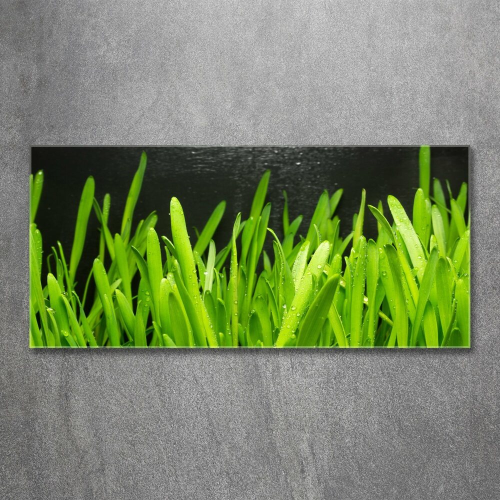 Tableau verre acrylique Herbe