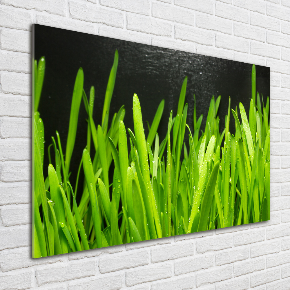 Tableau verre acrylique Herbe