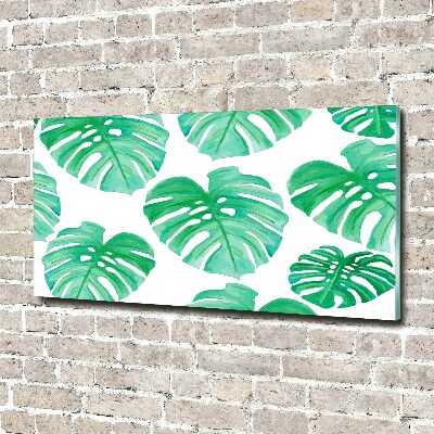 Tableau en acrylique Monstera