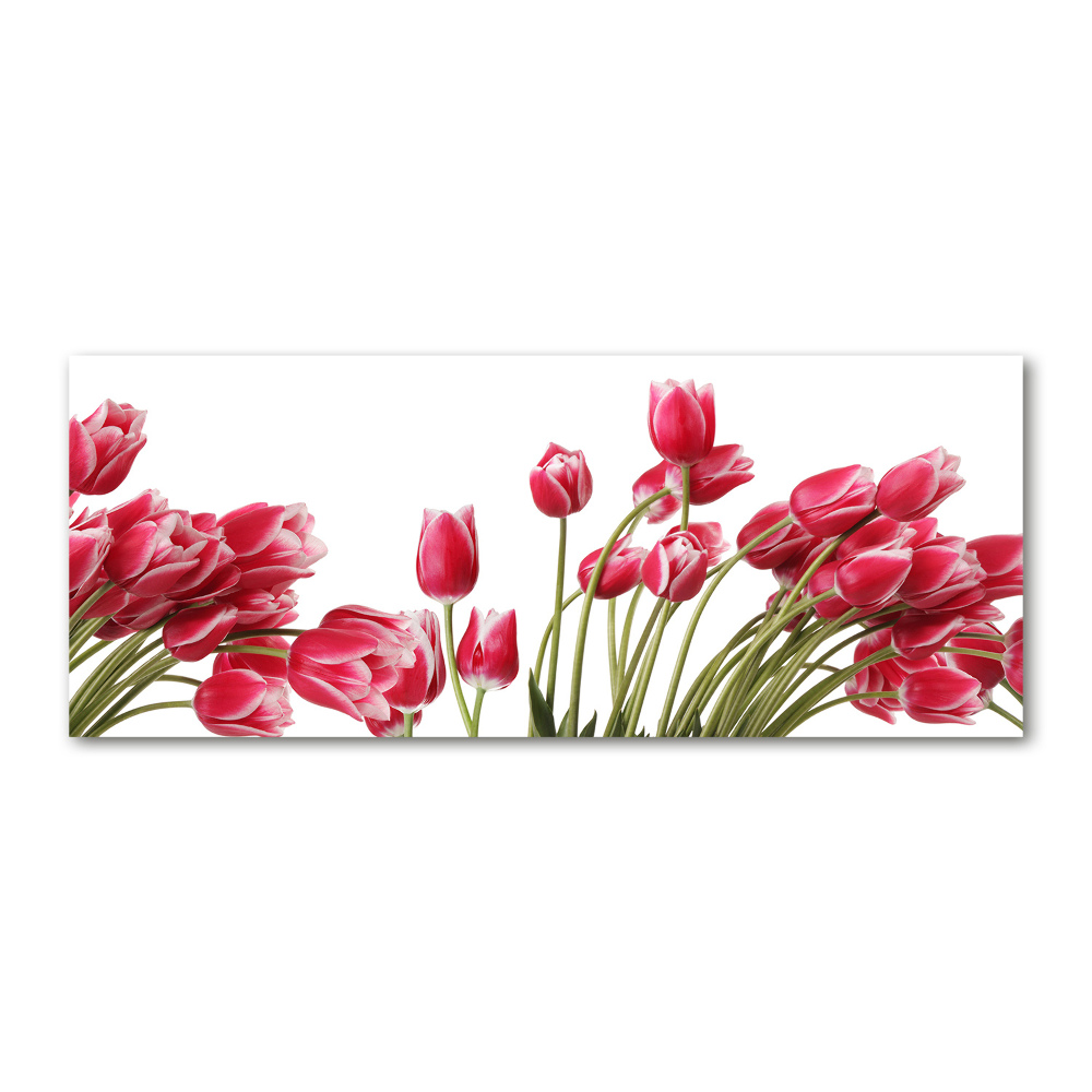 Acrylique tableau Tulipes rouges