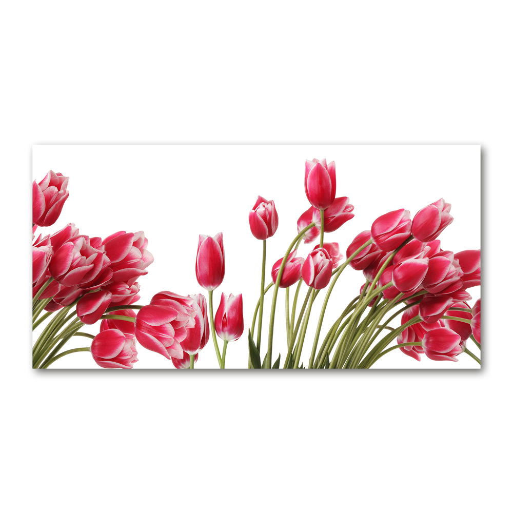 Acrylique tableau Tulipes rouges