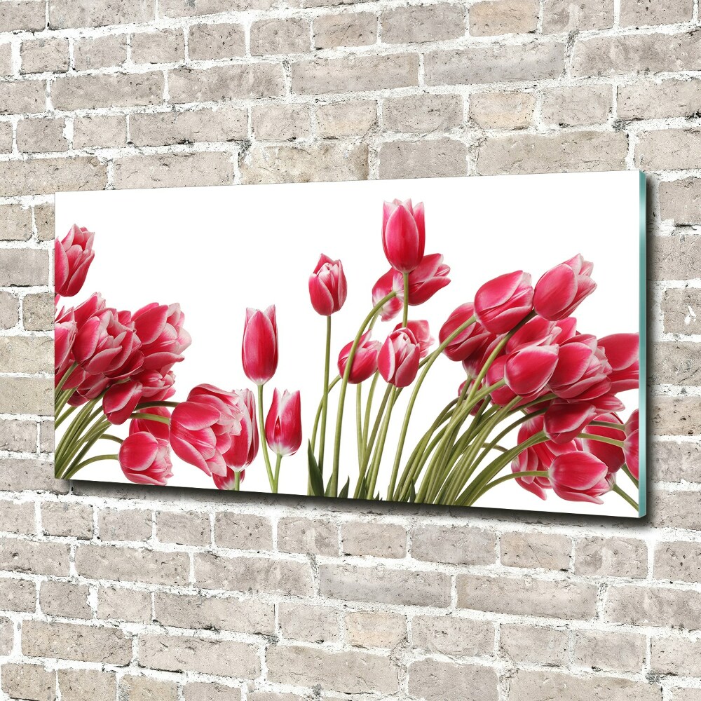 Acrylique tableau Tulipes rouges