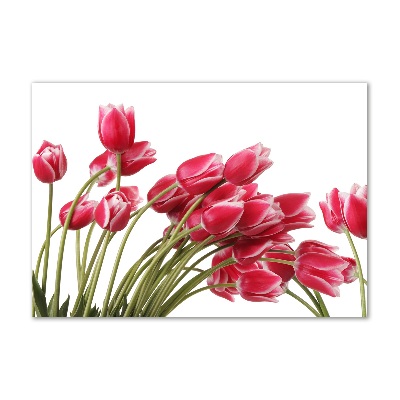 Acrylique tableau Tulipes rouges