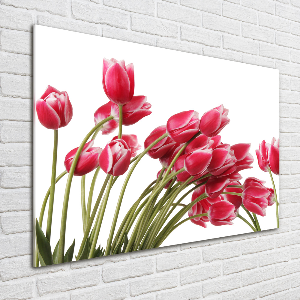 Acrylique tableau Tulipes rouges