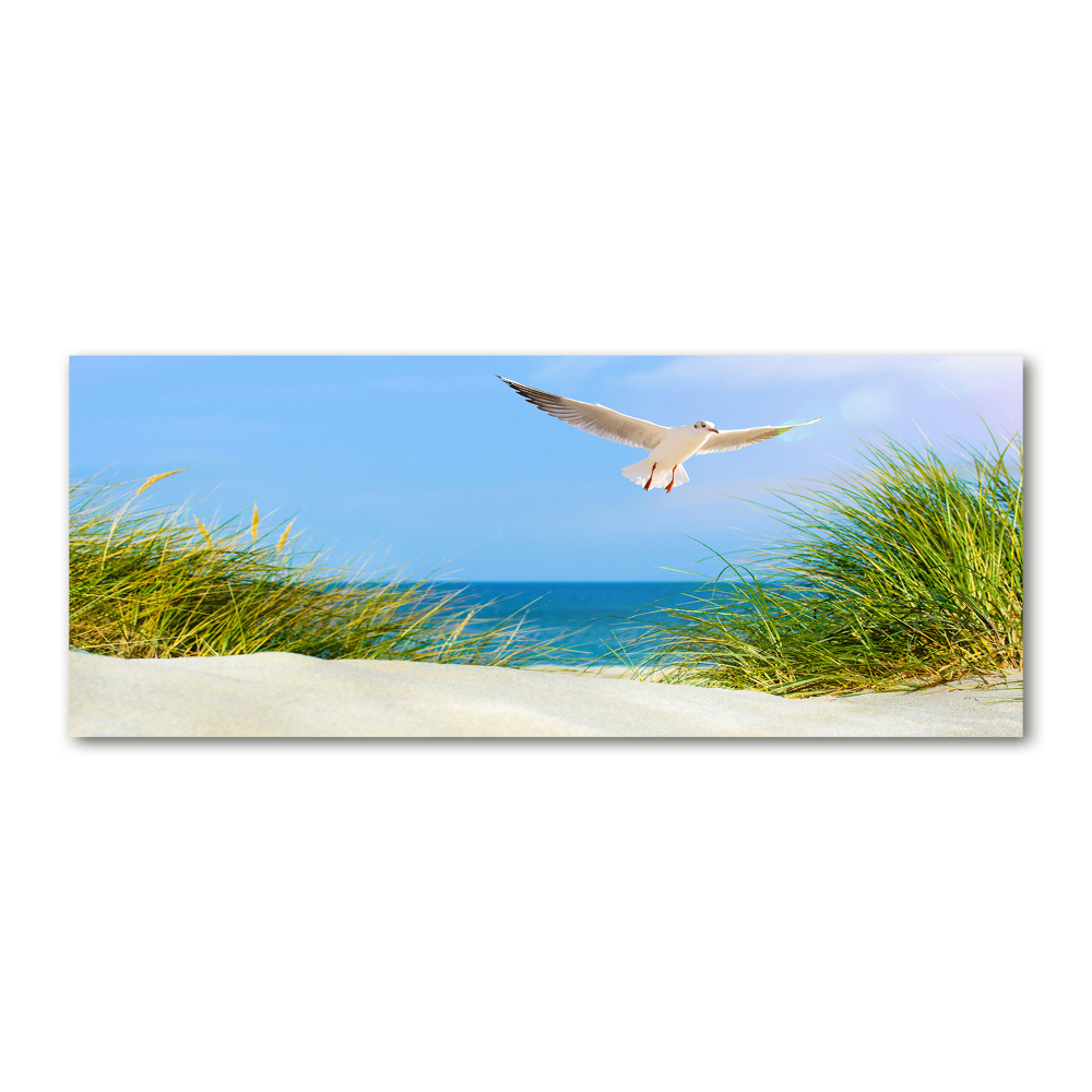 Tableau verre acrylique Mouette sur la plage