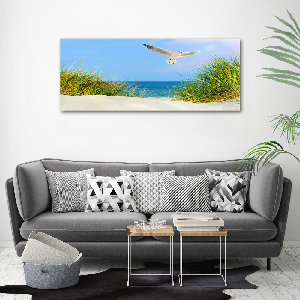 Tableau verre acrylique Mouette sur la plage