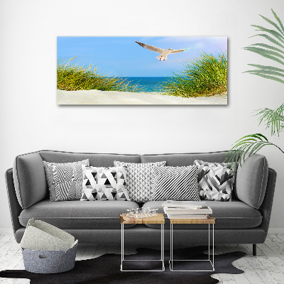 Tableau verre acrylique Mouette sur la plage