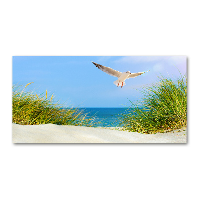 Tableau verre acrylique Mouette sur la plage