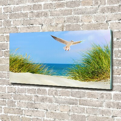 Tableau verre acrylique Mouette sur la plage