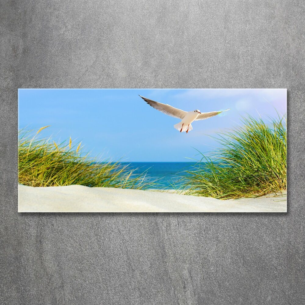 Tableau verre acrylique Mouette sur la plage