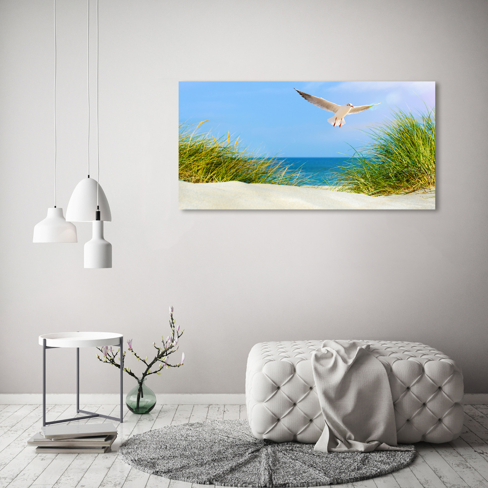 Tableau verre acrylique Mouette sur la plage