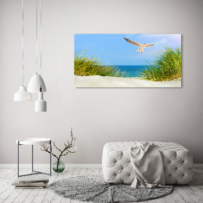 Tableau verre acrylique Mouette sur la plage