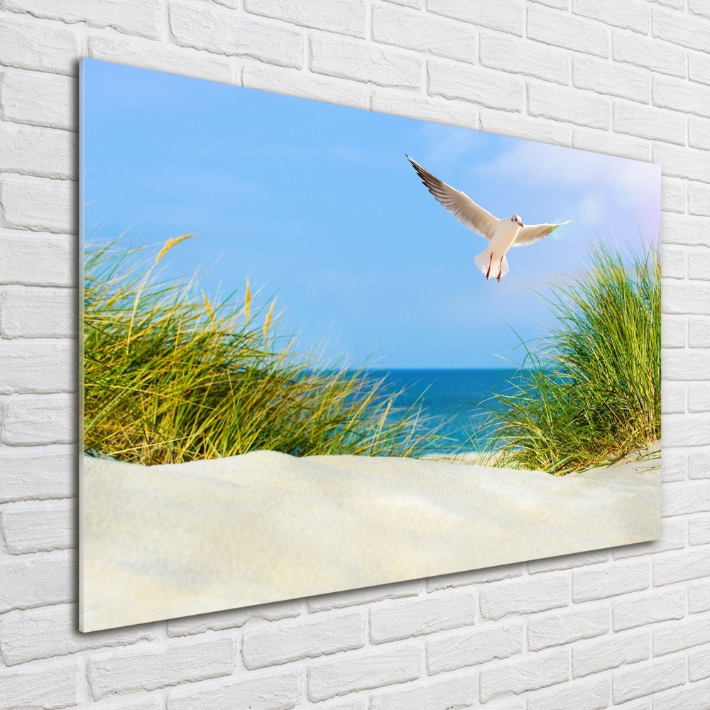 Tableau verre acrylique Mouette sur la plage