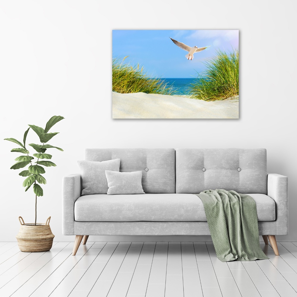 Tableau verre acrylique Mouette sur la plage