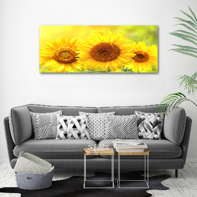 Acrylique tableau Plante de tournesol