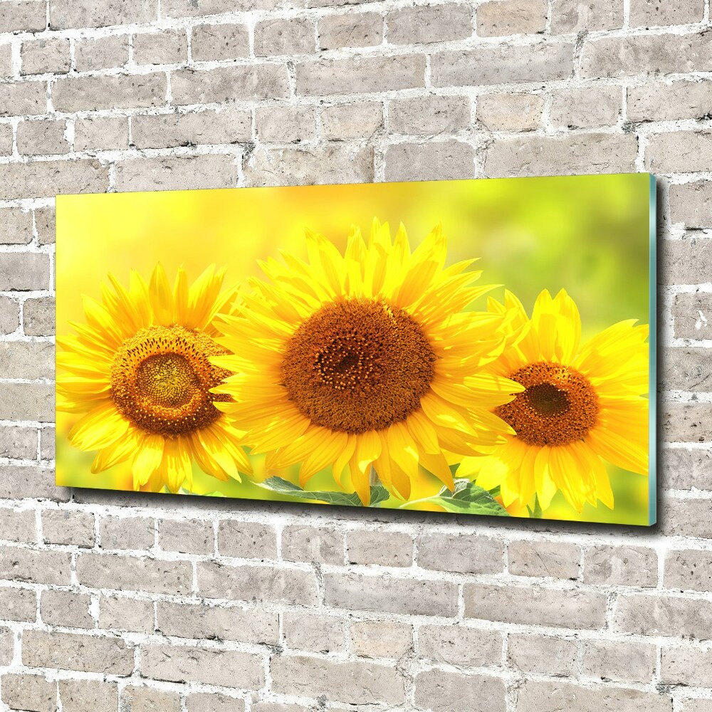 Acrylique tableau Plante de tournesol