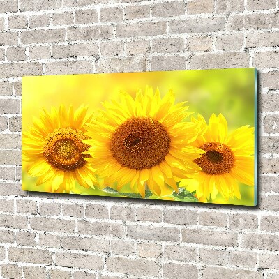 Acrylique tableau Plante de tournesol