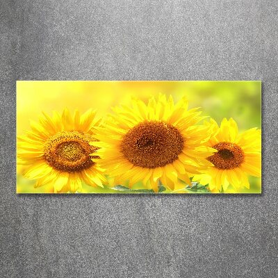 Acrylique tableau Plante de tournesol