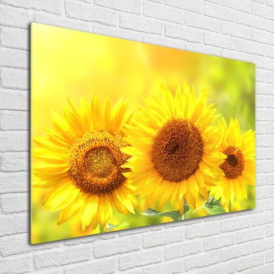 Acrylique tableau Plante de tournesol