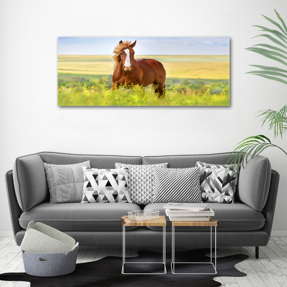 Acrylique tableau Cheval brun