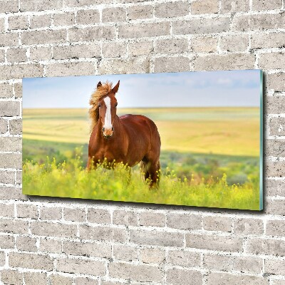 Acrylique tableau Cheval brun