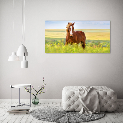 Acrylique tableau Cheval brun