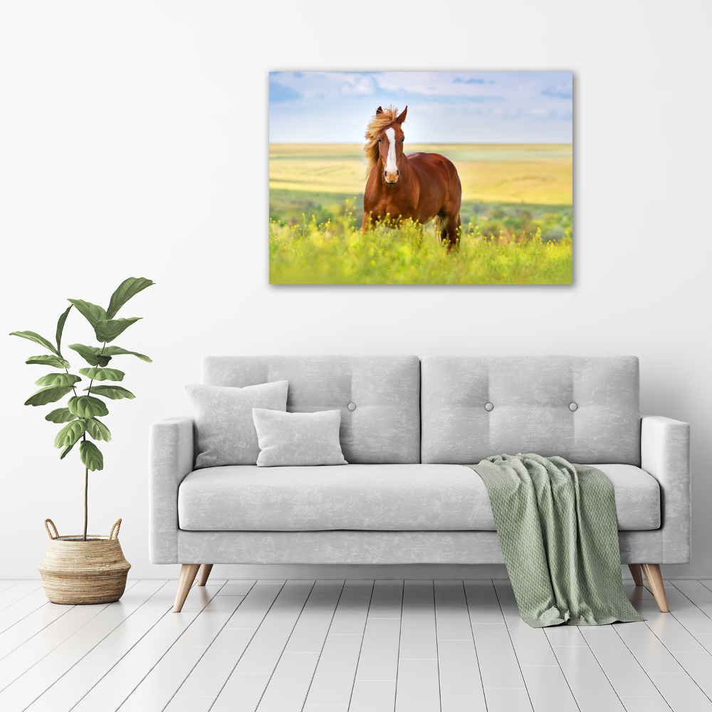 Acrylique tableau Cheval brun