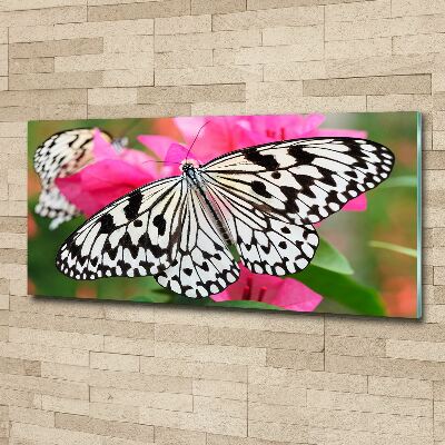 Tableau verre acrylique Papillon sur une fleur