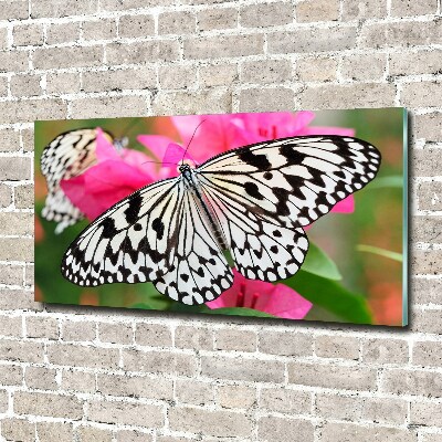 Tableau verre acrylique Papillon sur une fleur