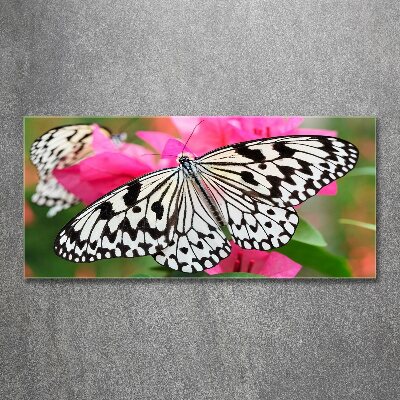 Tableau verre acrylique Papillon sur une fleur