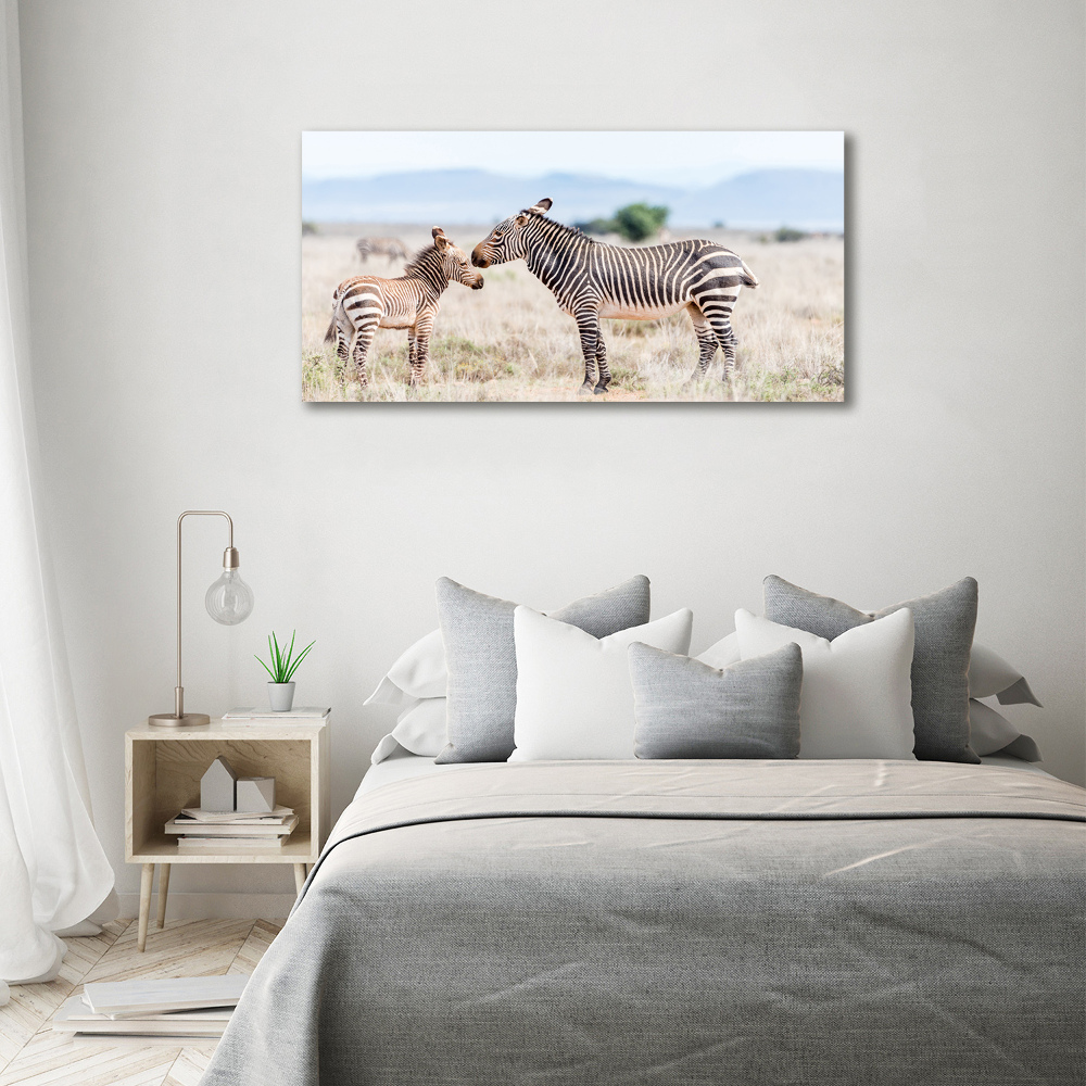 Tableau verre acrylique Zèbres dans les montagnes