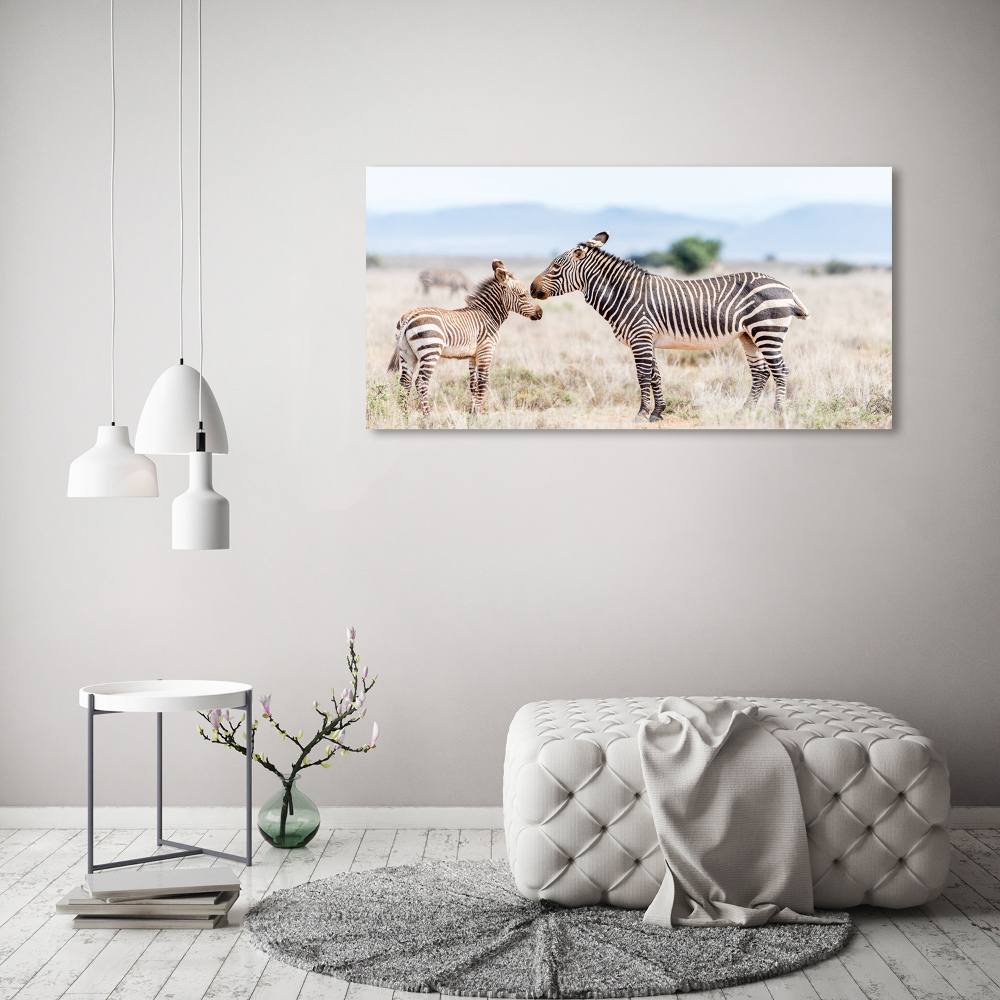 Tableau verre acrylique Zèbres dans les montagnes