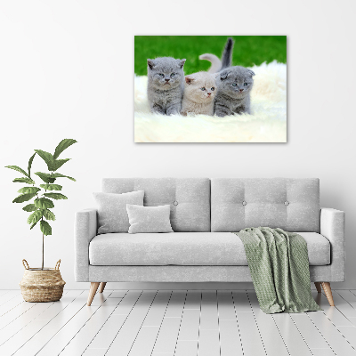 Tableau acrylique Trois chats sur une couverture