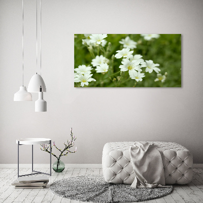 Tableau acrylique Fleurs de printemps