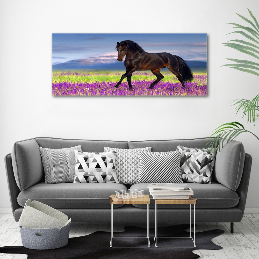 Tableau sur verre acrylique Cheval dans un champ de lavande