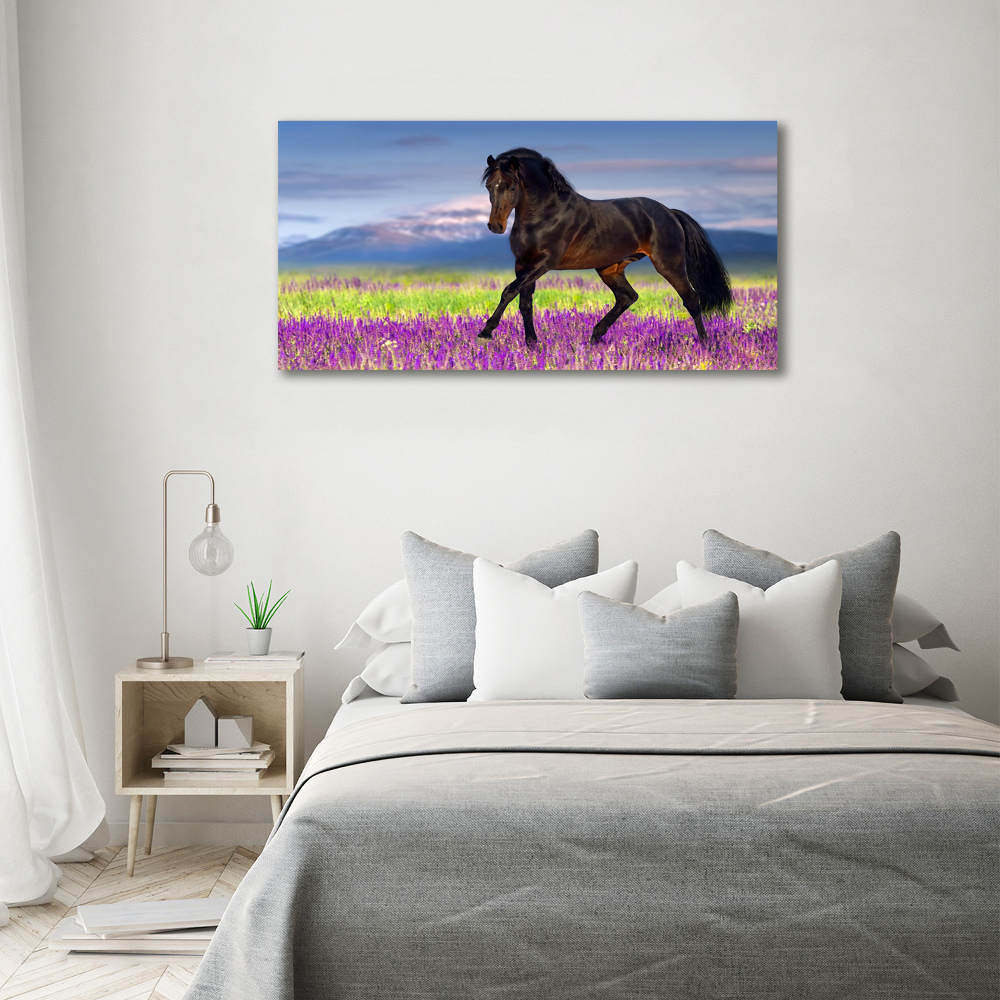 Tableau sur verre acrylique Cheval dans un champ de lavande