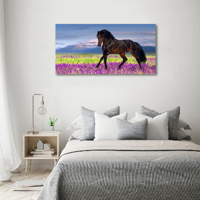 Tableau sur verre acrylique Cheval dans un champ de lavande