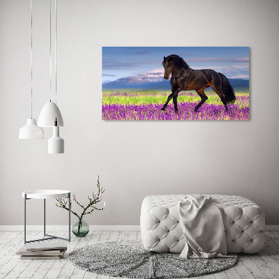 Tableau sur verre acrylique Cheval dans un champ de lavande