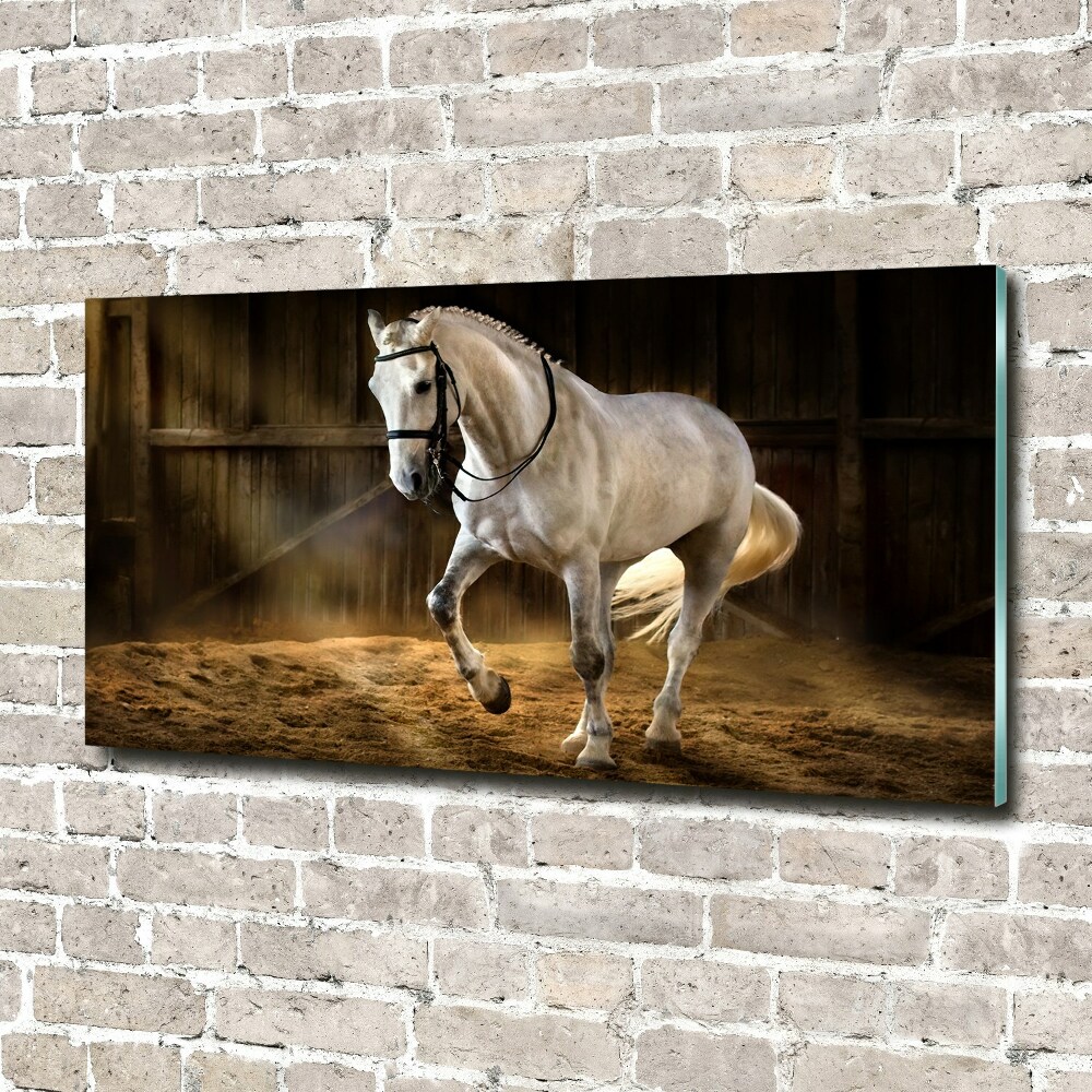 Tableau verre acrylique Cheval blanc à l'écurie